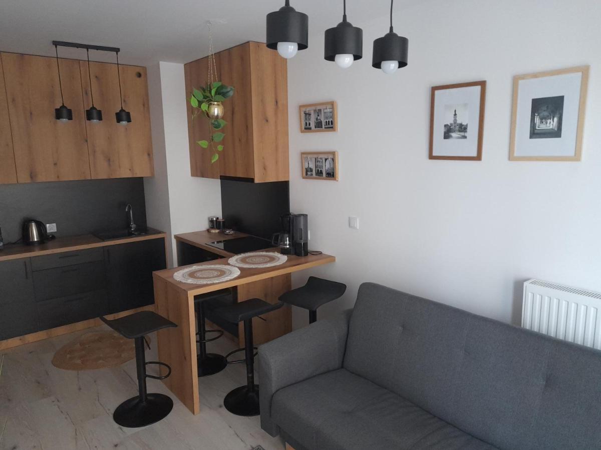 Apartament Amelia Zamość エクステリア 写真