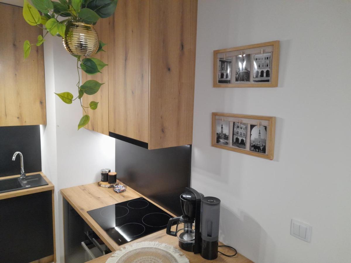 Apartament Amelia Zamość エクステリア 写真